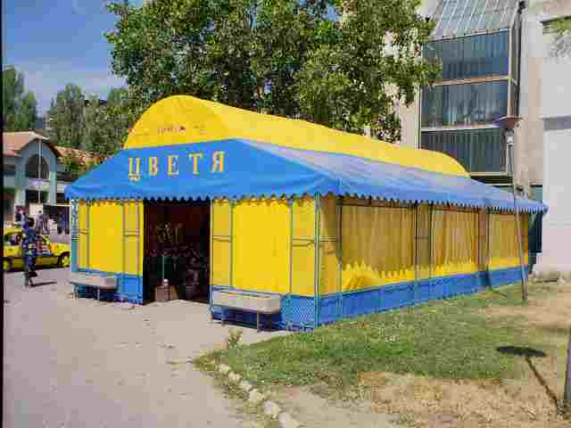 ЦВЕТЯ